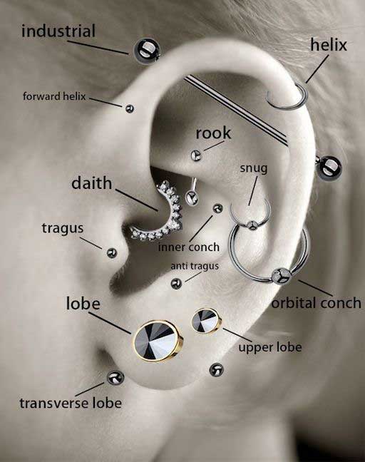 Ear Piercing Diagram